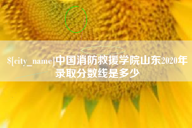 锡林郭勒盟中国消防救援学院山东2020年录取分数线是多少