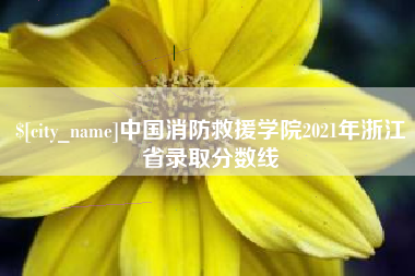 锡林郭勒盟中国消防救援学院2021年浙江省录取分数线
