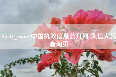 锡林郭勒盟中国执政信息公开网-失信人员查询页