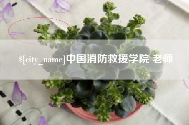 锡林郭勒盟中国消防救援学院 老师