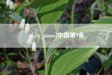 锡林郭勒盟中国第9金