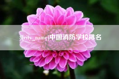 锡林郭勒盟中国消防学校排名