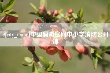 锡林郭勒盟中国消防官网中小学消防公开课