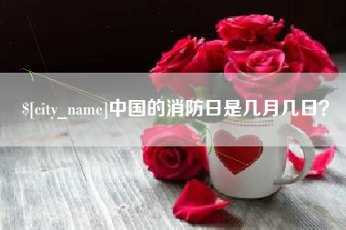 锡林郭勒盟中国的消防日是几月几日？