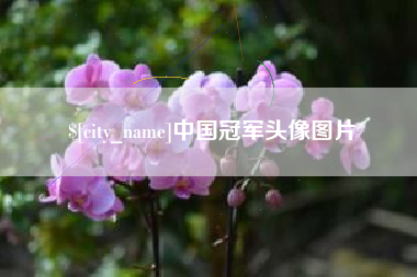 锡林郭勒盟中国冠军头像图片