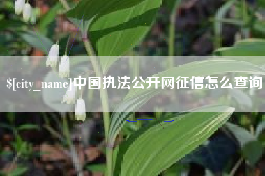锡林郭勒盟中国执法公开网征信怎么查询