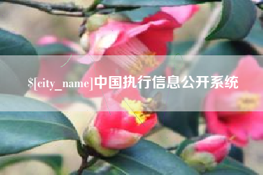 锡林郭勒盟中国执行信息公开系统
