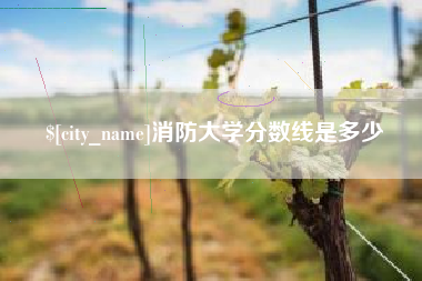 锡林郭勒盟消防大学分数线是多少
