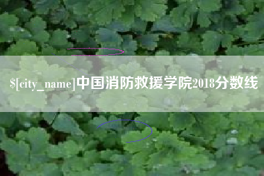 锡林郭勒盟中国消防救援学院2018分数线