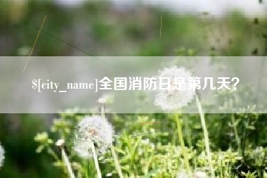锡林郭勒盟全国消防日是第几天？