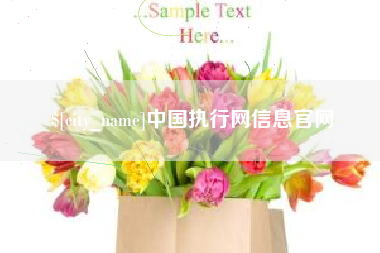 锡林郭勒盟中国执行网信息官网