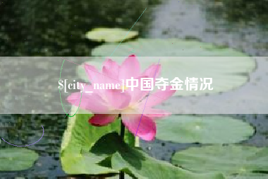锡林郭勒盟中国夺金情况