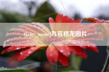 锡林郭勒盟九宫格龙图片
