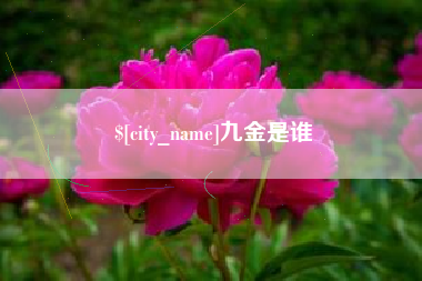 锡林郭勒盟九金是谁