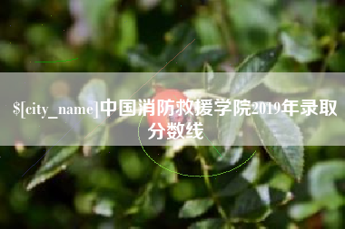 锡林郭勒盟中国消防救援学院2019年录取分数线