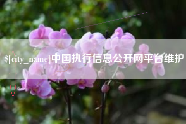 锡林郭勒盟中国执行信息公开网平台维护