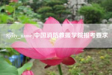 锡林郭勒盟中国消防救援学院报考要求