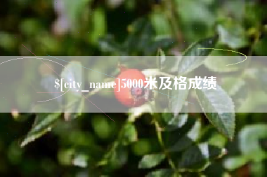 锡林郭勒盟5000米及格成绩