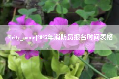 锡林郭勒盟2025年消防员报名时间表格