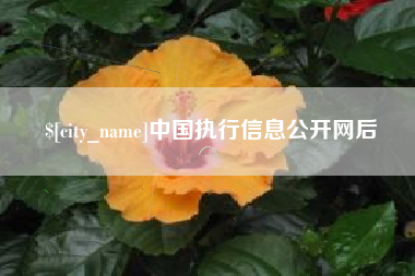 锡林郭勒盟中国执行信息公开网后