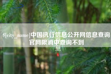 锡林郭勒盟中国执行信息公开网信息查询官网限消中查询不到