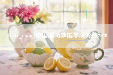 锡林郭勒盟中国消防救援学院分数2020