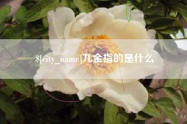 锡林郭勒盟九金指的是什么