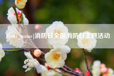 锡林郭勒盟消防日全国消防日主题活动