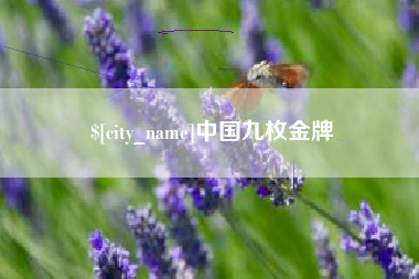 锡林郭勒盟中国九枚金牌