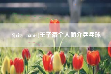 锡林郭勒盟王子豪个人简介乒乓球