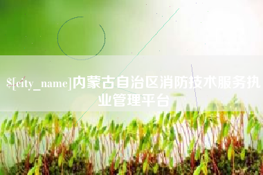 锡林郭勒盟内蒙古自治区消防技术服务执业管理平台