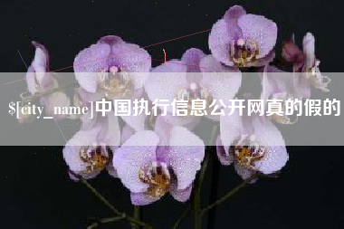 锡林郭勒盟中国执行信息公开网真的假的