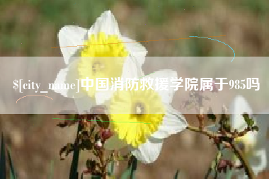 锡林郭勒盟中国消防救援学院属于985吗