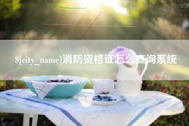 锡林郭勒盟消防资格证怎么查询系统