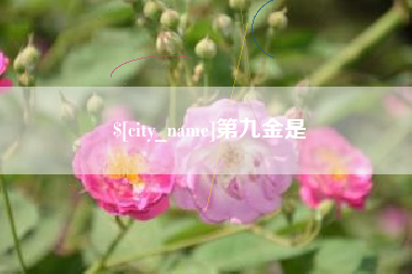 锡林郭勒盟第九金是
