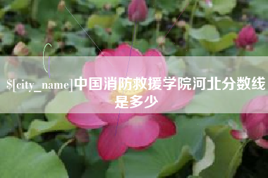 锡林郭勒盟中国消防救援学院河北分数线是多少