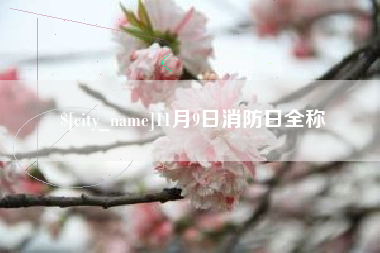锡林郭勒盟11月9日消防日全称