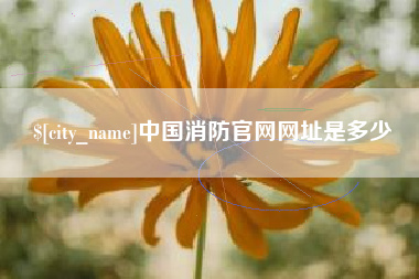 锡林郭勒盟中国消防官网网址是多少
