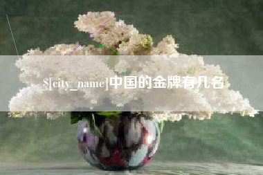 锡林郭勒盟中国的金牌有几名