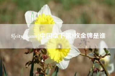 锡林郭勒盟中国拿下第9枚金牌是谁
