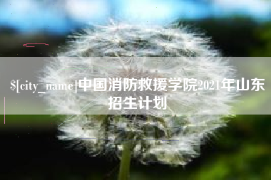 锡林郭勒盟中国消防救援学院2021年山东招生计划