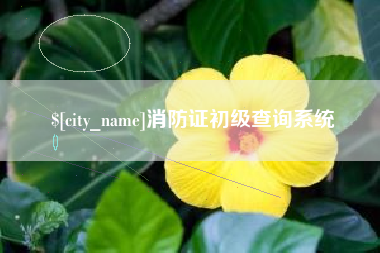 锡林郭勒盟消防证初级查询系统