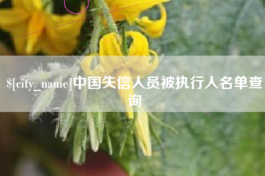 锡林郭勒盟中国失信人员被执行人名单查询
