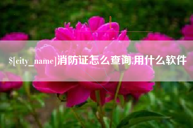 锡林郭勒盟消防证怎么查询,用什么软件