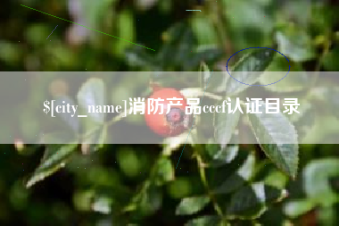 锡林郭勒盟消防产品cccf认证目录
