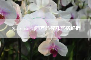 锡林郭勒盟西方命数九宫格解析