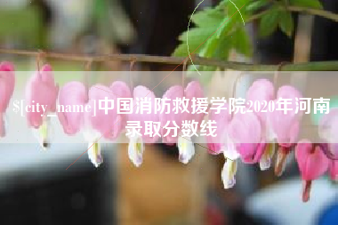 锡林郭勒盟中国消防救援学院2020年河南录取分数线