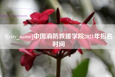 锡林郭勒盟中国消防救援学院2021年报名时间