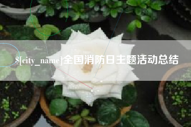 锡林郭勒盟全国消防日主题活动总结