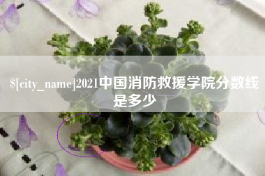 锡林郭勒盟2021中国消防救援学院分数线是多少